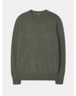 Green Regular Geelong Wool Sweater